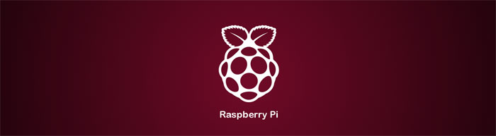  Raspberry Pi    