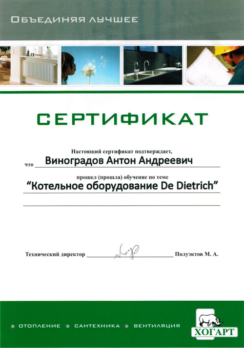 Сертификат Антона Виноградова
