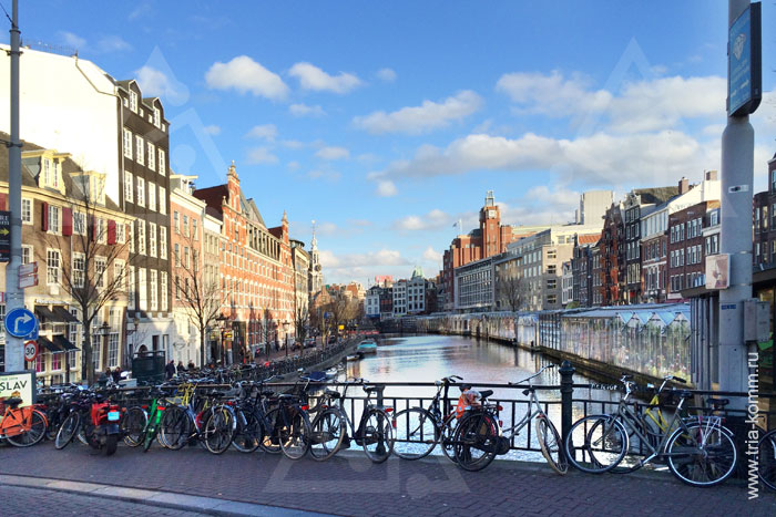 На улицах Амстердама полно велосипедов