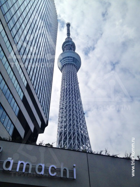 Фото “Tokyo Sky Tree” снизу